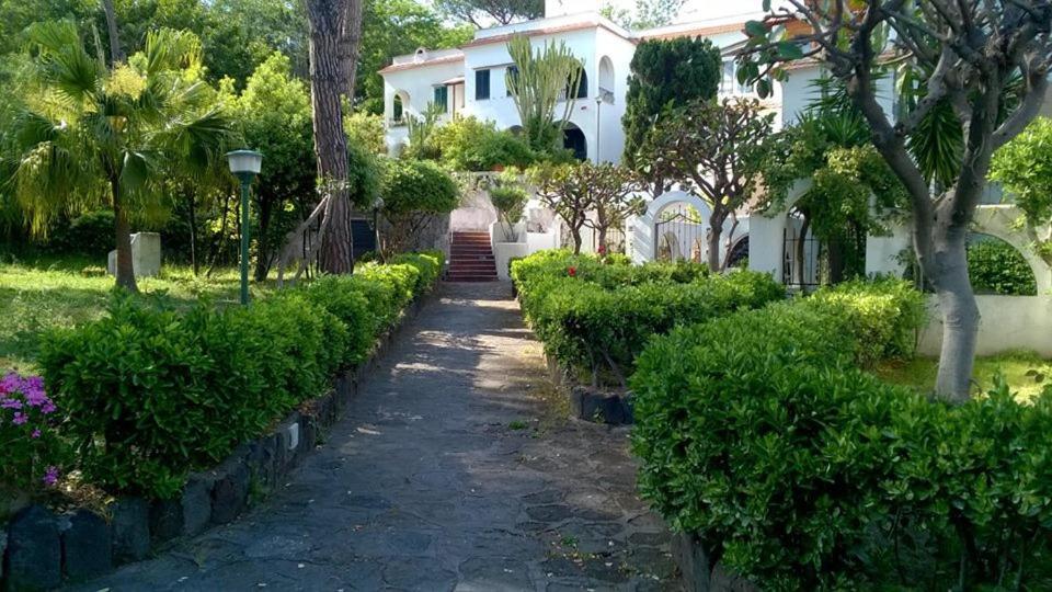 Villa Iscla Maison D'Hotes 이스키아 외부 사진